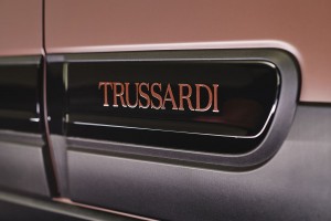 Fiat Panda Trussardi, Bronze, Braun, von aussen, Modelabel, Felgen, Logo